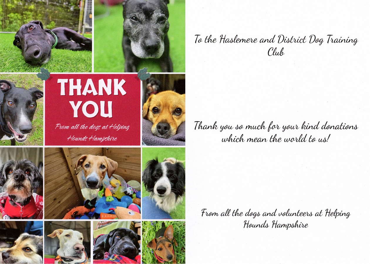 A Thank You from Helping Hounds Hampshire