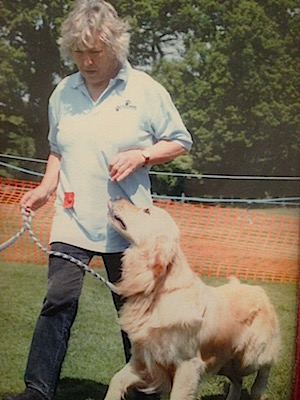 dog agility classes